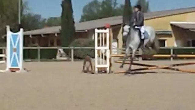 Margaux S et Niagara club3 sans faute Costières nimes