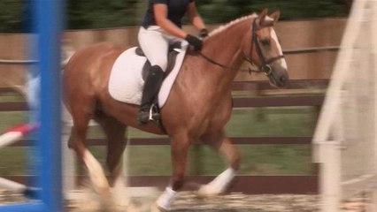 How To Remember Show Jumping Courses