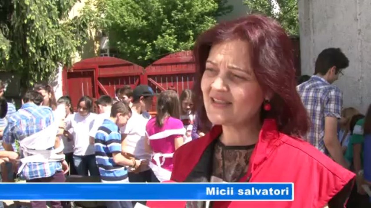 Micii salvatori