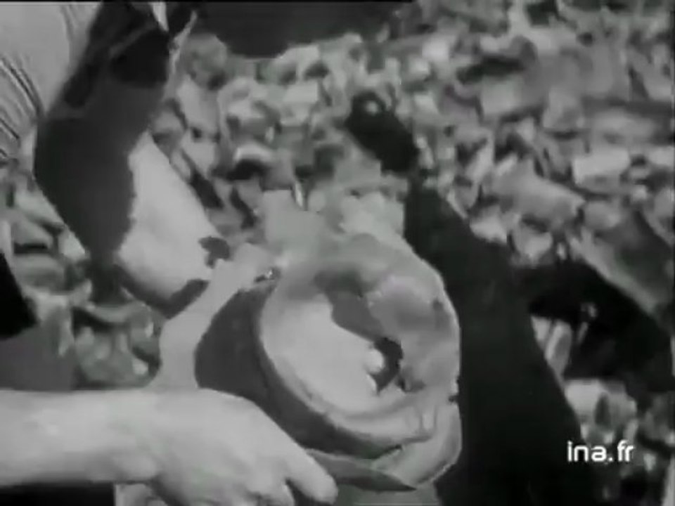 Oradour-sur-Glane   l’Alsace et le Limousin se déchirent