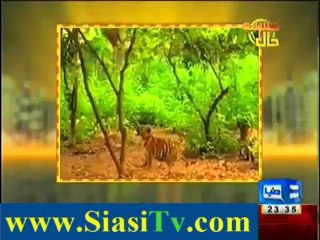 Hasb e Haal Election 2013 Special - 10th May 2013