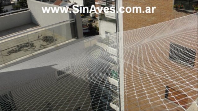 Como ahuyentar palomas definitivamente de un edificio en Buenos Aires