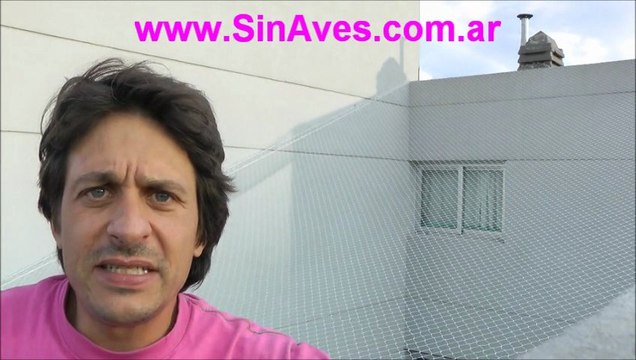 Como se ahuyenta una plaga de palomas de un pozo de aire de un edificio