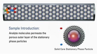 Thermo Scientific Accucore HPLC Columns