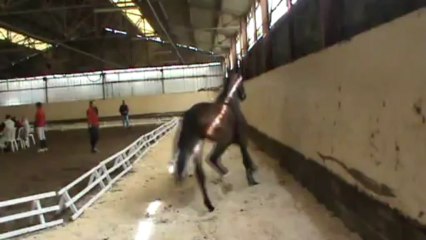 20130509 Sandillon Amazone 01