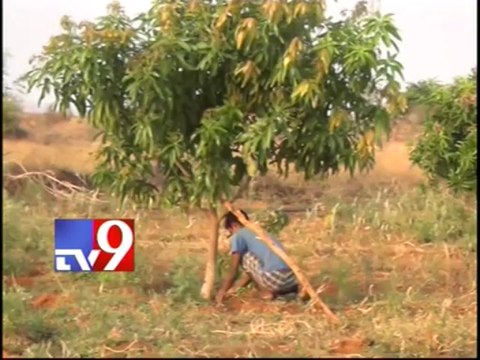 Animal shed collapses due to strong winds