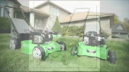 Lawn Boy 10632 lawn mower