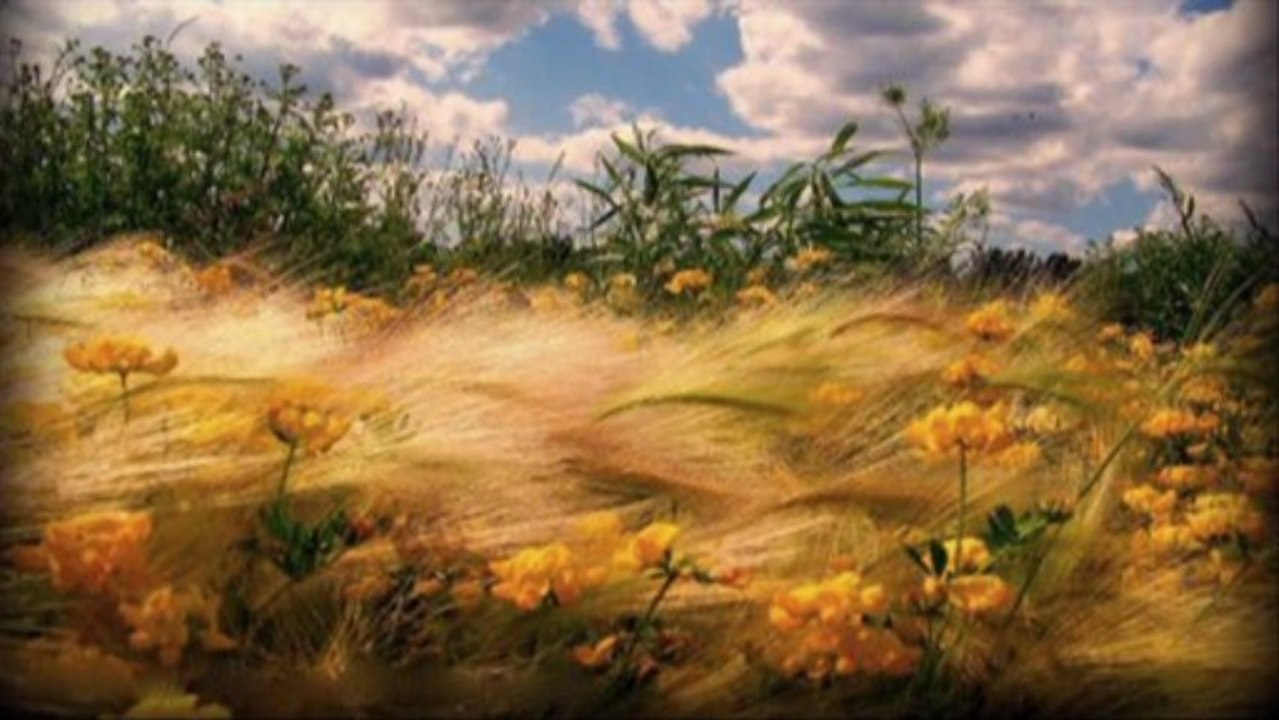 Tuncer Yolal - Zalim Nefsim ilahi 2013