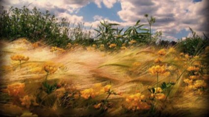 Tuncer Yolal - Zalim Nefsim ilahi 2013