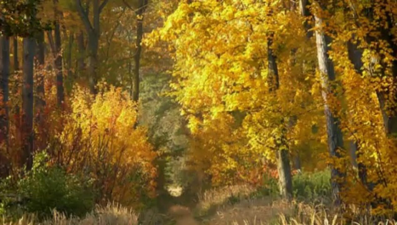 § PIANO ROMANTICO § ROBERT GALLURO - 2013.
