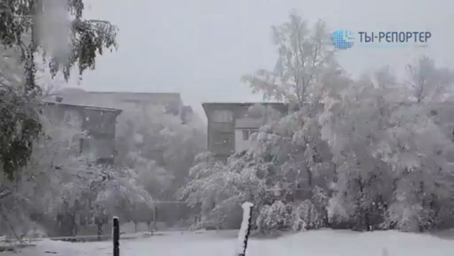 Весна на Алтае: После жары +30 выпал снег