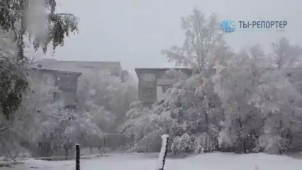 Весна на Алтае: После жары +30 выпал снег