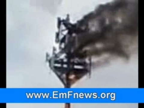 Protection Electromagnetic Fields, Cordless Phones Harmful