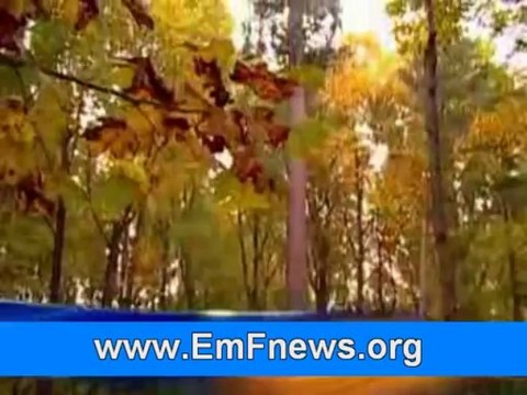 Cell Tower Radiation Depression, Cell Phone Masts