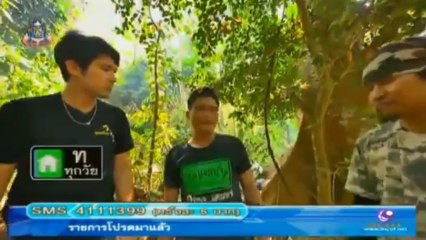 บางอ้อ วันที่ 11 พฤษภาคม 2556 (น้ำผึ้งเดือนห้า ความหวาน จากฟากฟ้า)