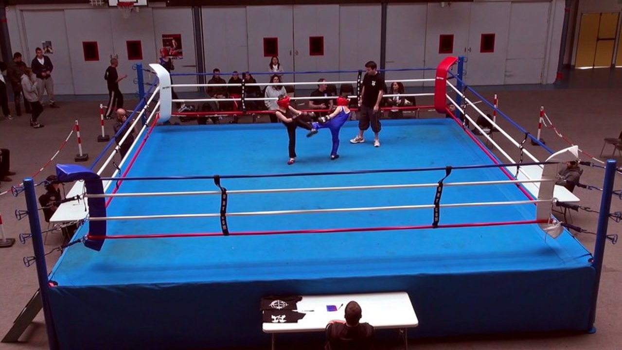Savate Boxe Française, Gala de Paris 2013, assaut de démonstration