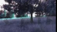 FURIA _ une quête sans lendemain