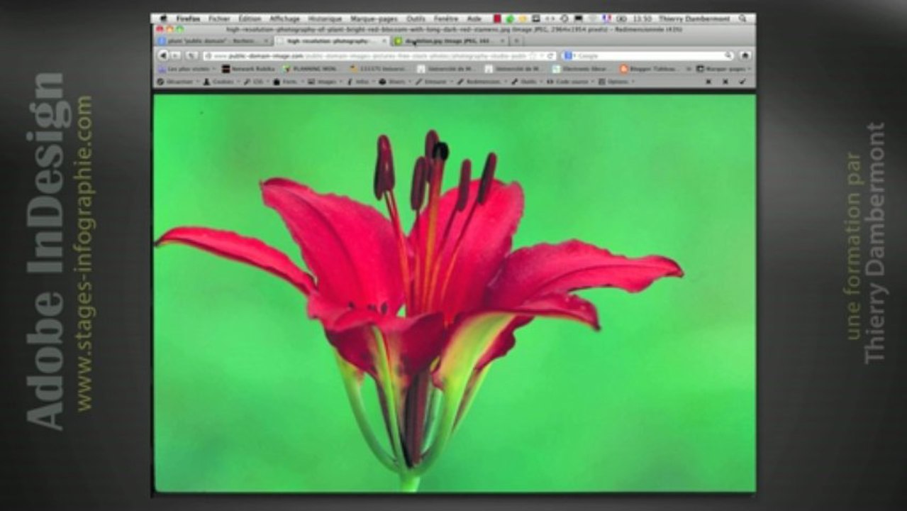 Adobe InDesign - Les objets ancrés (anchored objects) - HD1080 - Thierry Dambermont