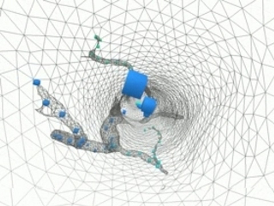 Endoscopie virtuelle 3D de l'aorte