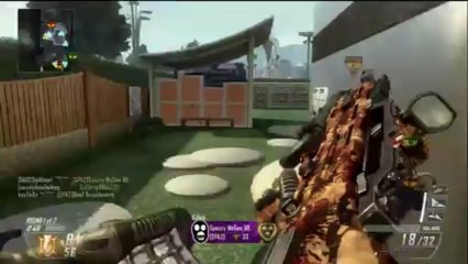 Armas de oro y diamante (MSMC)