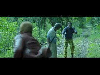 Public review of Go Goa Gone