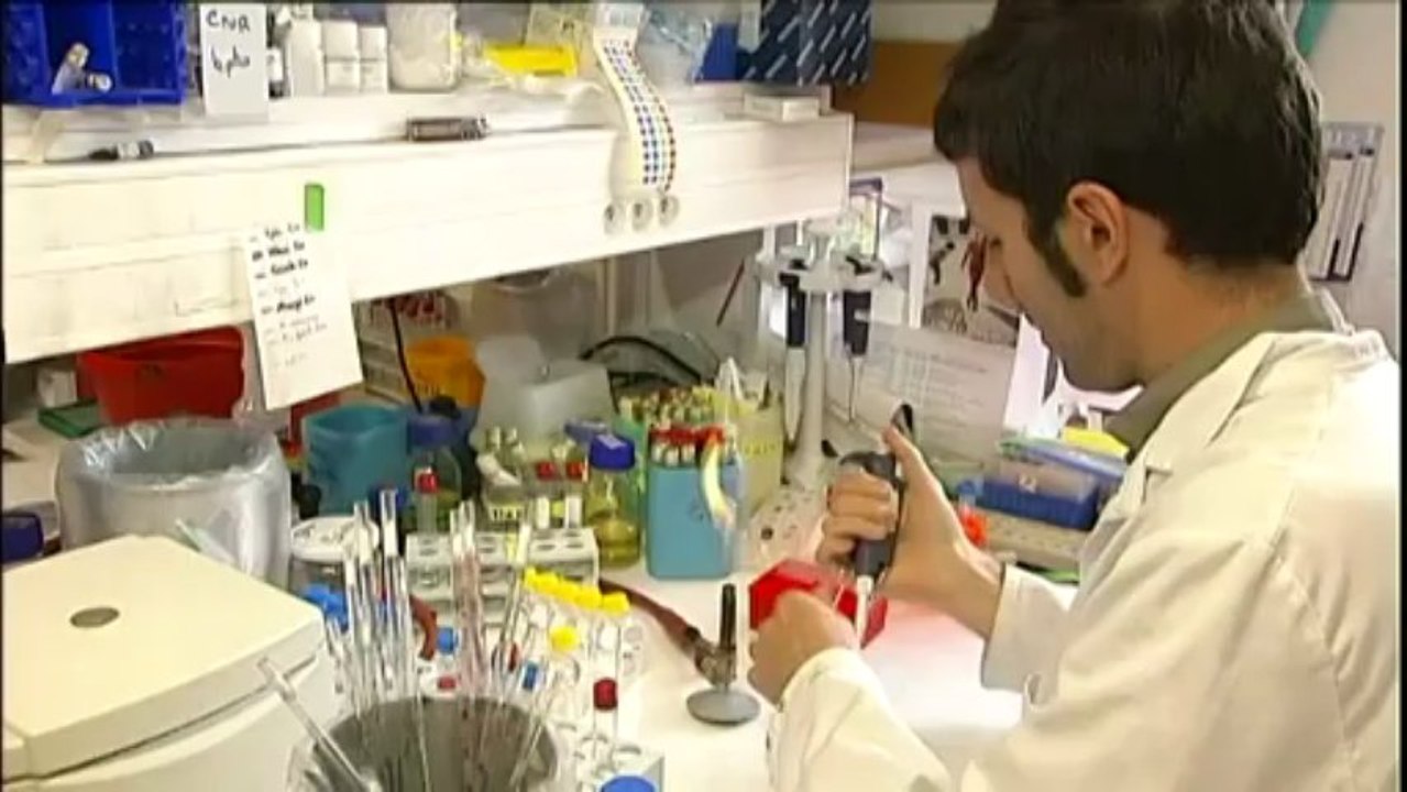 Coronavirus : un nouveau cas suspect à Lille