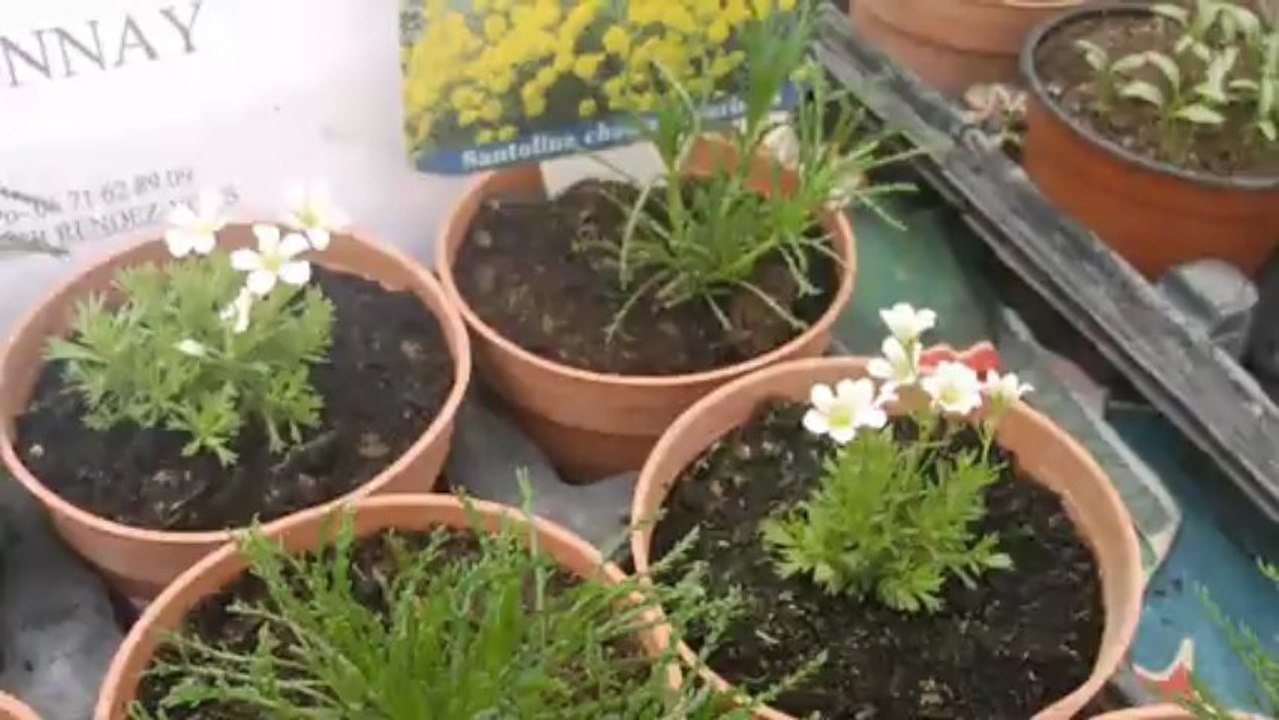 Le marché florale de Villeurbanne_05-05-2013 (MotionMaker)