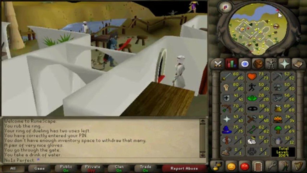 The 2k7 Experience - 40 Def/Dragon Gloves/RUINED Zerker Pure?!