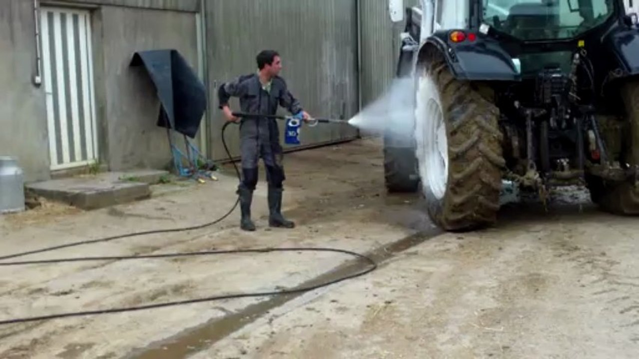 sortie de la traite des vaches