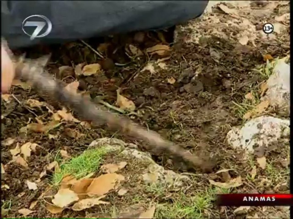 Kanal 7 WebTV, Tv Filmi, tv filmi izle, tv filmi online izle, kanal 7 tv filmi izle, anamas izle, anamas online izle2