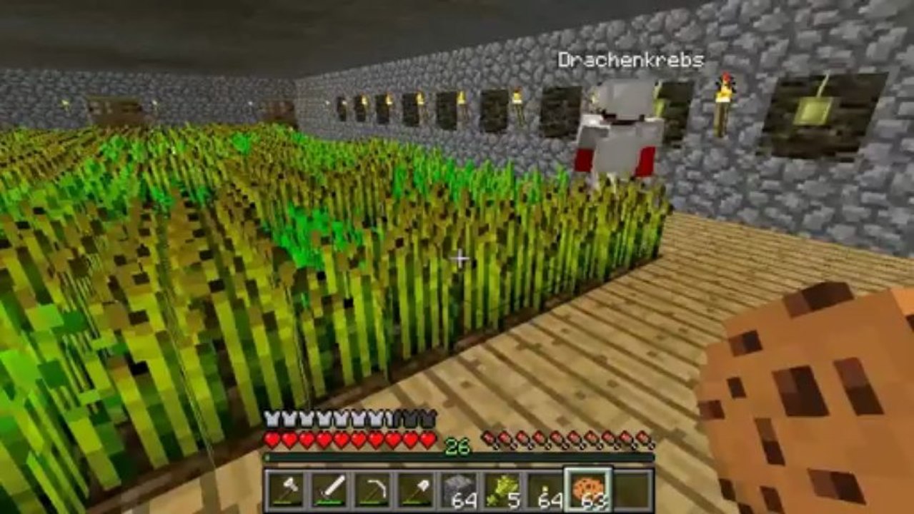 Minecraft let's play 149: ab in den nehter!