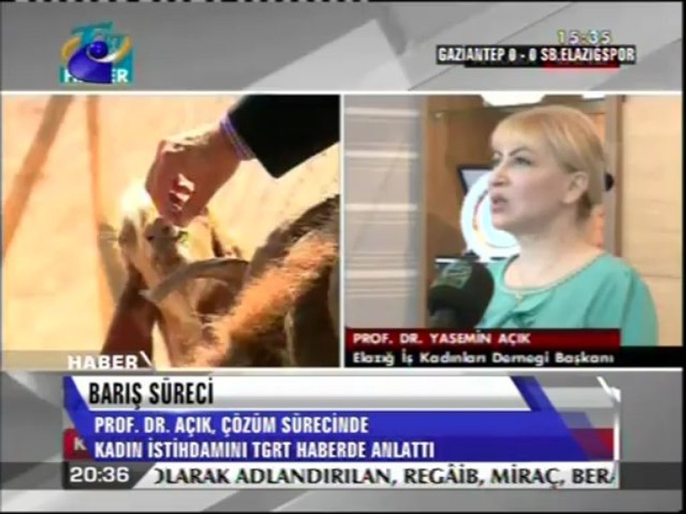 Prof. Dr. Yasemin Açık, TGRTHABER'e Konuk Oldu-Kanal E