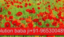 786 love problem solution pandit ji +91-9646410026