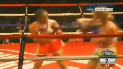 2013-05-11 Holly Holm vs Mary McGee