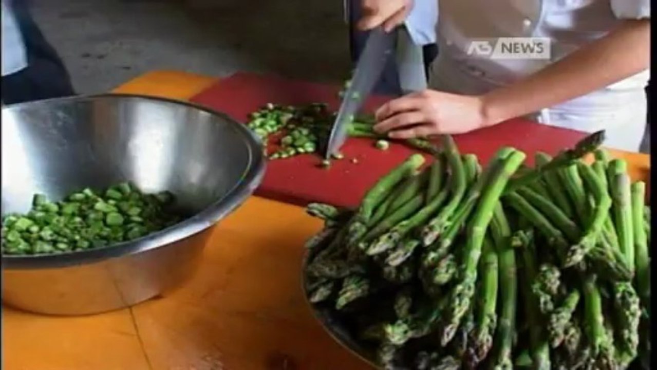 RISTORAZIONE, UN LAVORO PER I GIOVANI