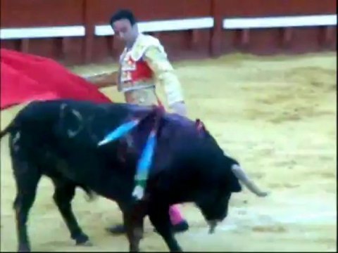 Jerez - Corrida de Toros 11 de Mayo - Enrique ponce