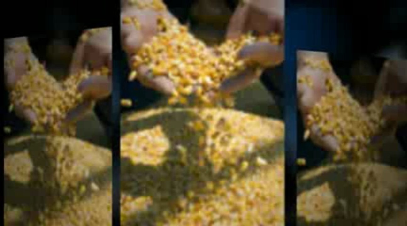 " Salehoo Wholesale Sources / eBay® Directory - #1 Affiliate Program (view mobile)  |  Salehoo Wholesale Sources / eBay® Directory - #1 Affiliate Program (view mobile) "