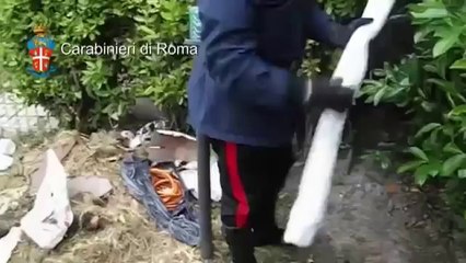 Télécharger la video: Roma - Tentano estorsione a imprenditore, due arresti (11.05.13)