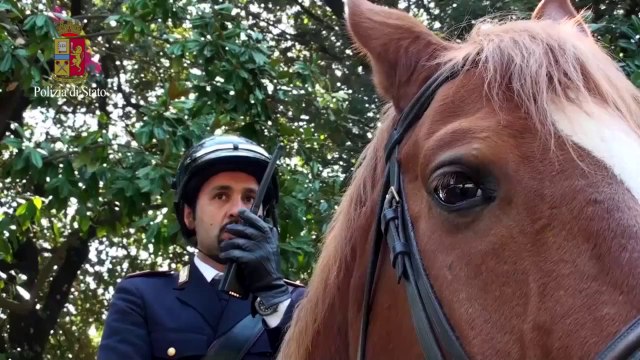 Polizia di Stato - Il Reparto a cavallo (11.05.13)