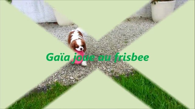 montage vidéo-Gaïa joue au frisbee