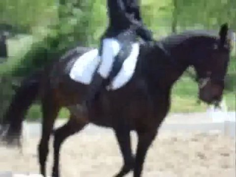 Dressage Championnat départemental Karine et Hermine
