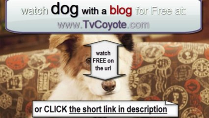Dog With a Blog Season 1 Episode 12 - Freaky Fido
