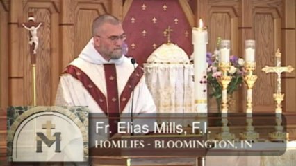 Fr Elias: Ascension in Faith - May 12 - Homily