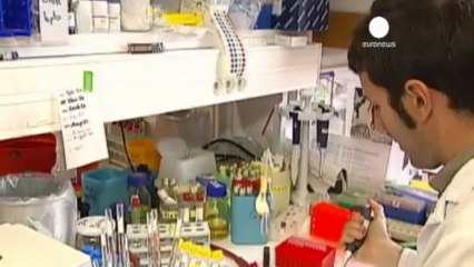 Nuova sars, secondo caso in Francia. Due morti in Arabia