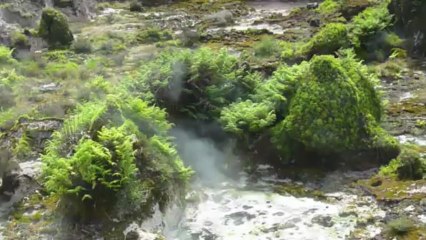 La vie de la Terre en quelques minutes