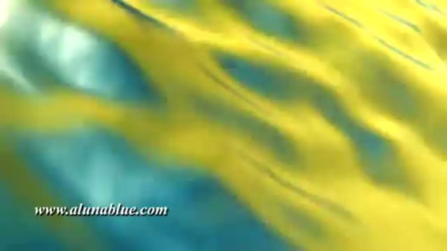 Animated Backgrounds - Abstract 0509 - Video Background - Video Loops