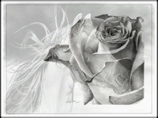 Linda Huber una artista con lápiz de grafito