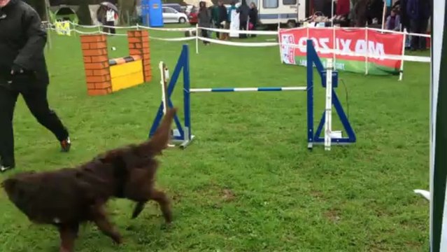 Boudevilliers jumping Gun 27.04.13 235