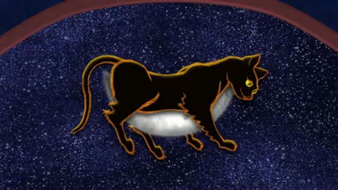 Midnight_Cat