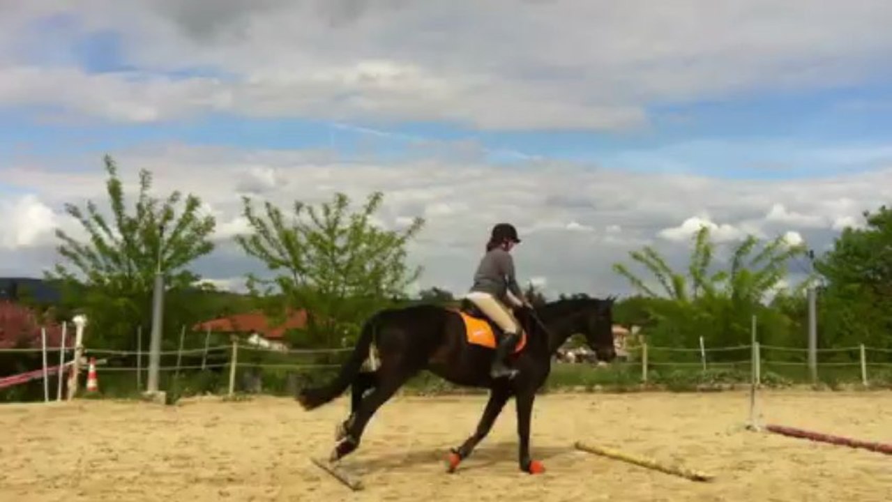 Zouzou cavaletti